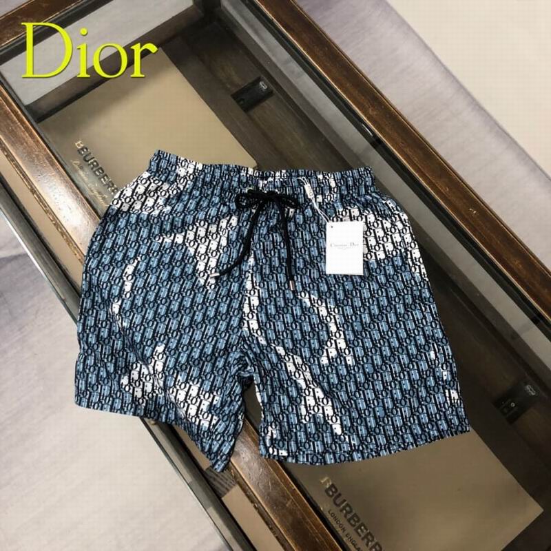 Dior Beach Pants Mens ID:20260604-159